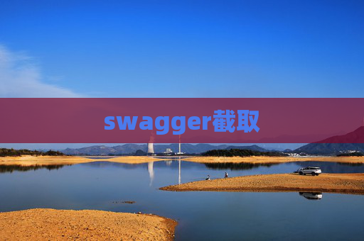 swagger截取