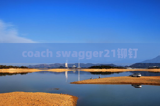 coach swagger21铆钉